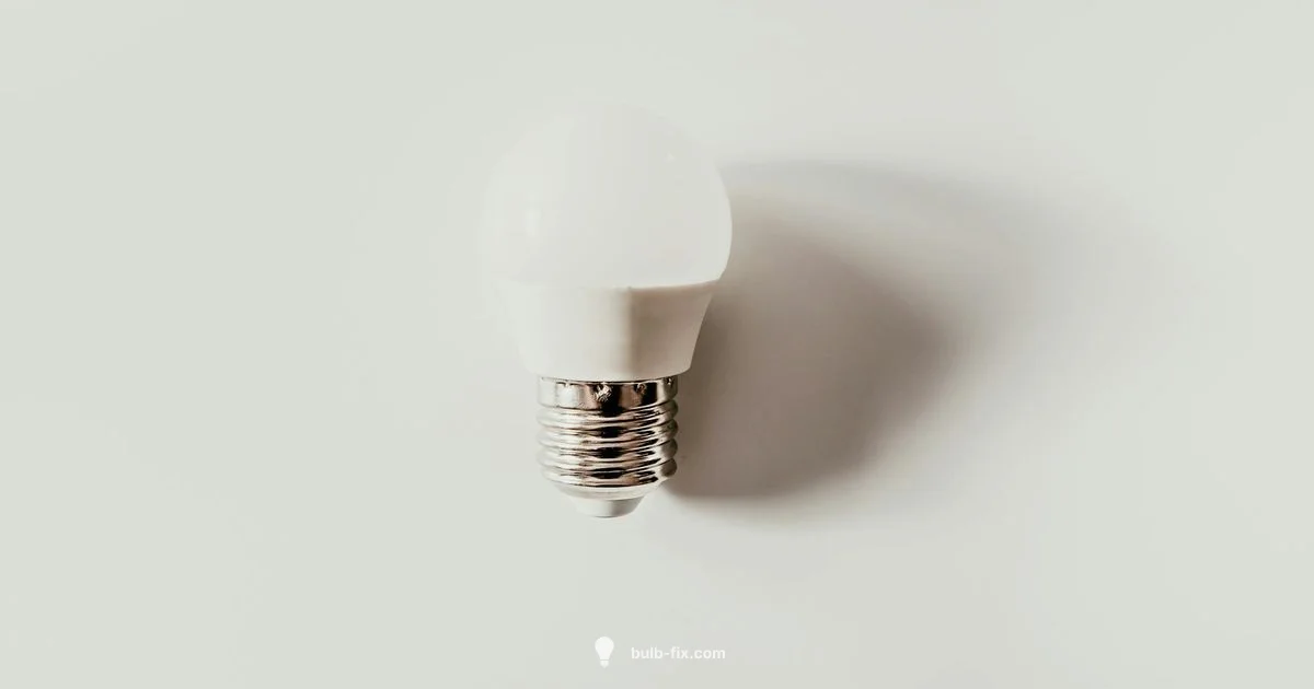 Bright 25W LED Guide Bright 25W LED Guide - Bulb Fix