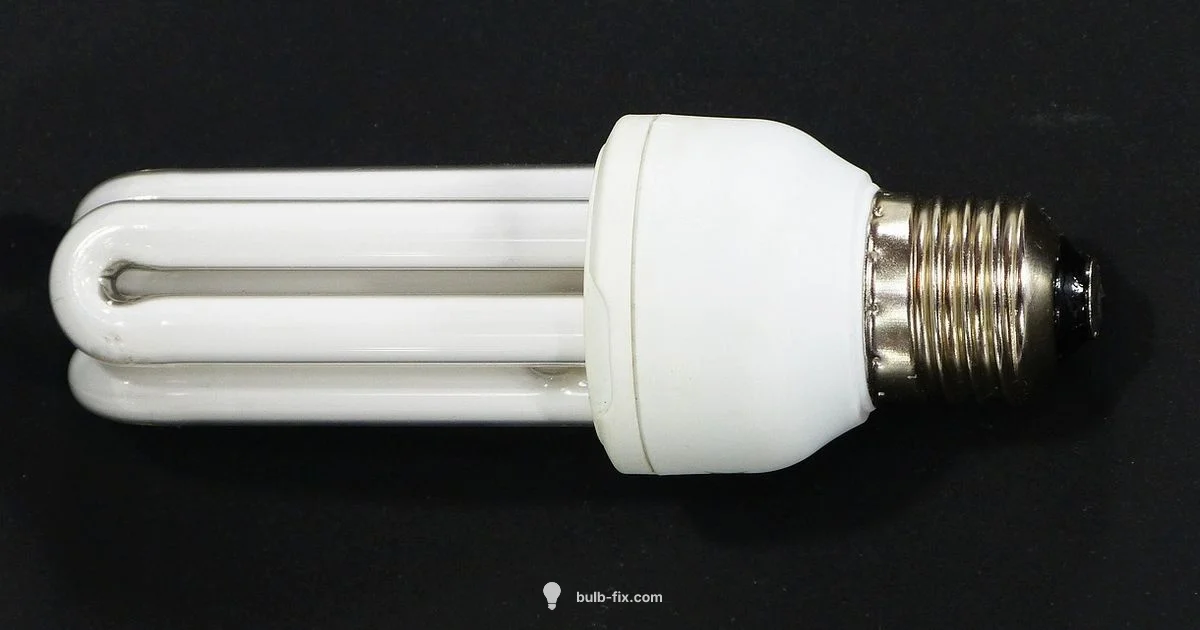 Bulb Boy Guide Bulb Boy Guide - Bulb Fix