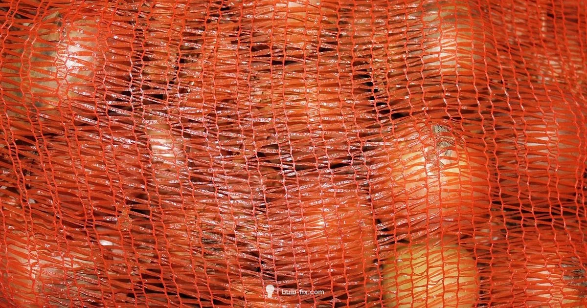Onion Bulb Basics Onion Bulb Basics - Bulb Fix