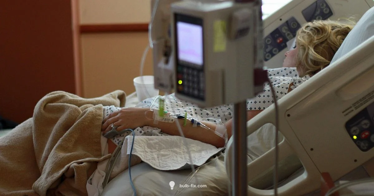 Labor Options - Bulb Fix