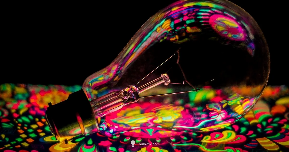 Corms vs Bulbs Corms vs Bulbs - Bulb Fix