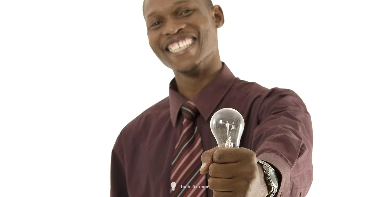 Light Bulb Cartoon Guide - Bulb Fix