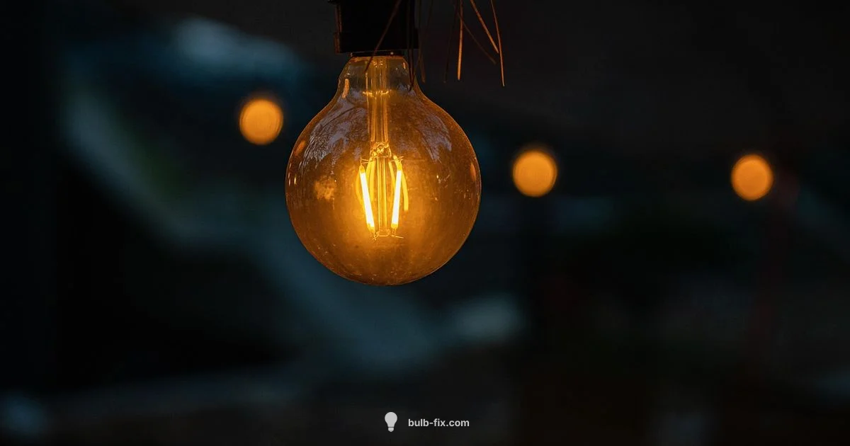 Portable Lighting Portable Lighting - Bulb Fix