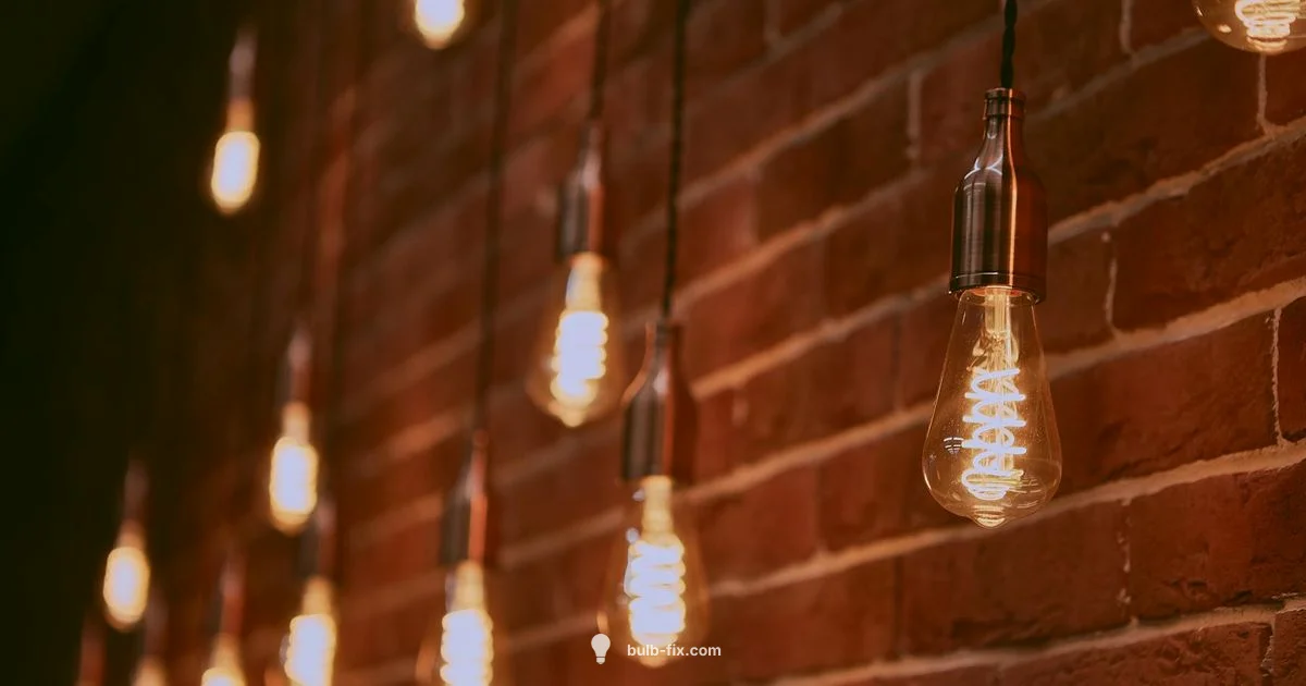 Light Bulb Basics Light Bulb Basics - Bulb Fix