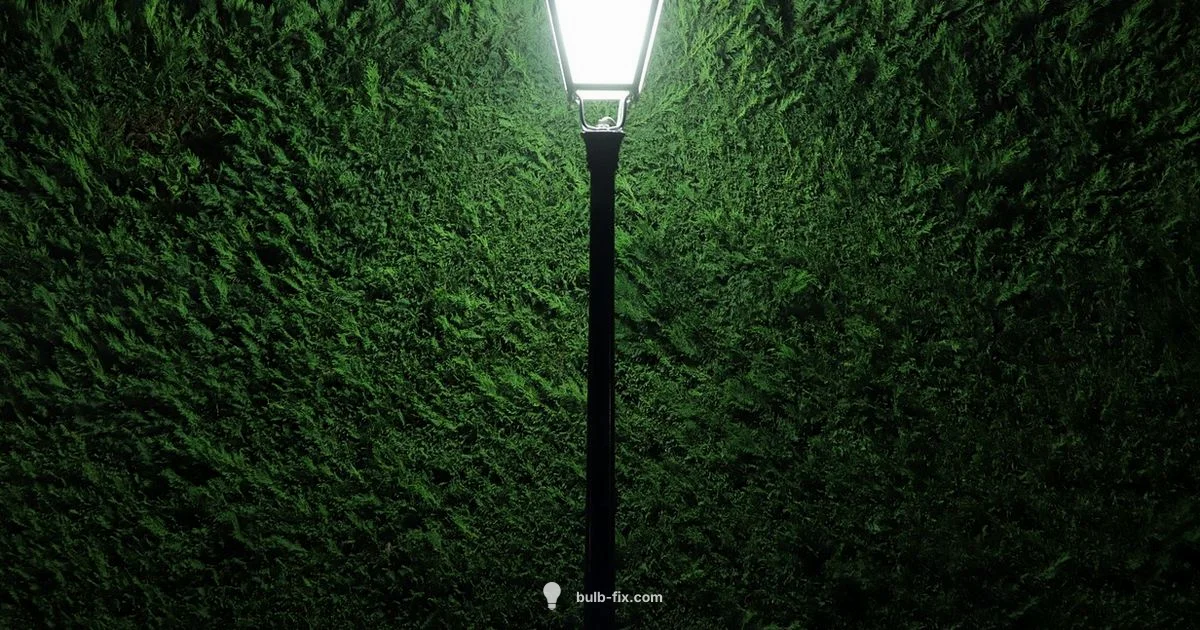 Outdoor Street Light Outdoor Street Light - Bulb Fix