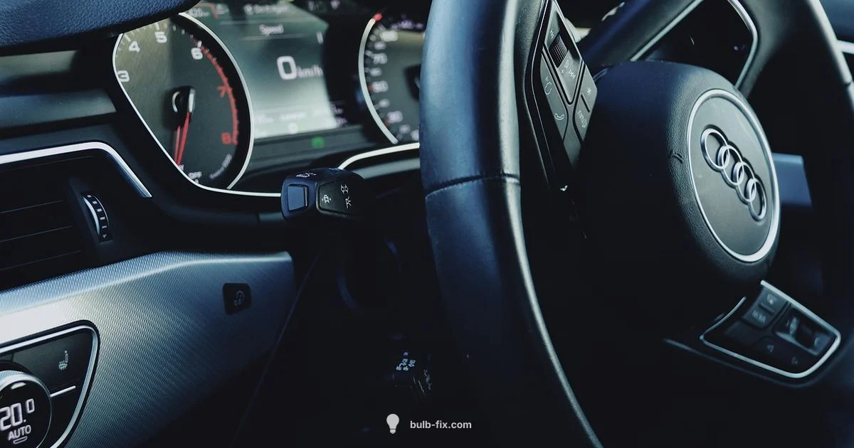 Bulb 921 Guide - Bulb Fix