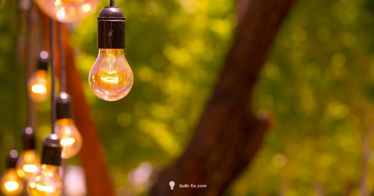 C9 Size Guide - Bulb Fix