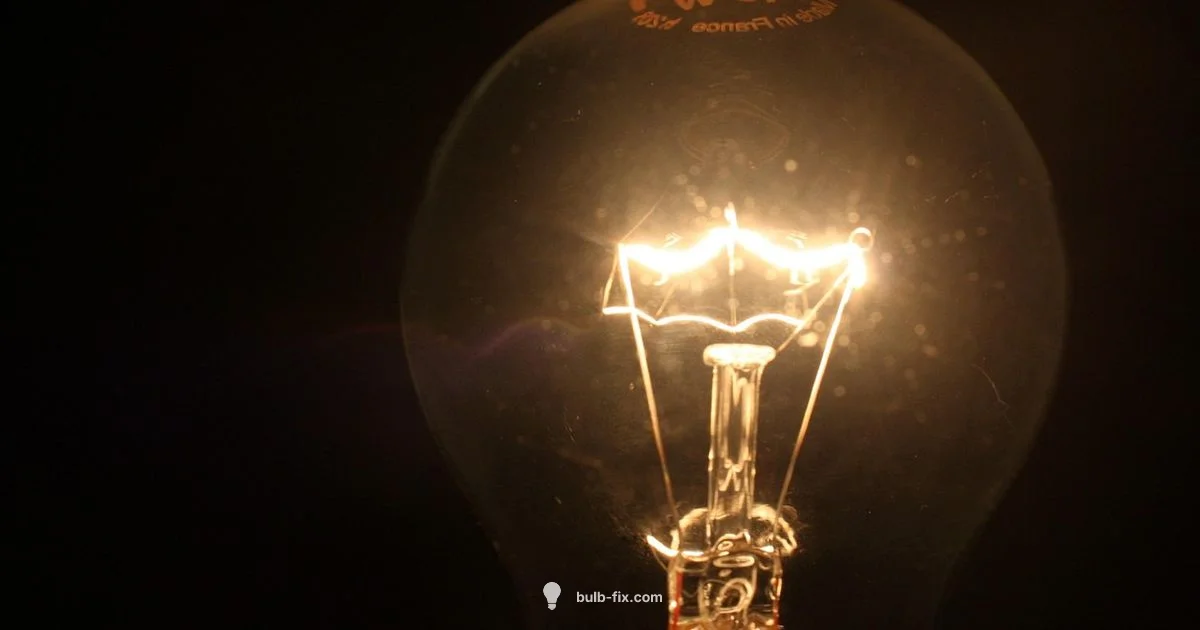 Filament Bulbs Today Filament Bulbs Today - Bulb Fix